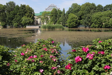 Fototapeta premium Park in Sankt Petersburg, Russland
