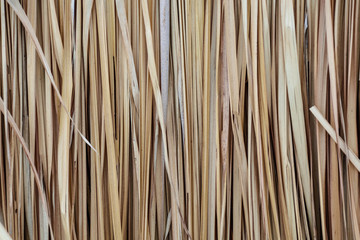 Nipa Palm thatching Background