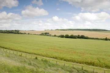 Fototapeta na wymiar Hampshire Landscape in England, UK