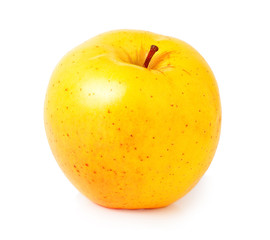 One yellow apple on a white background
