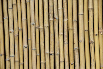 Bamboo wall background
