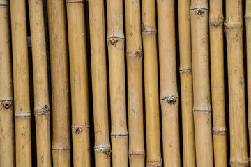 Bamboo wall background