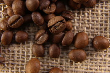 coffee beans