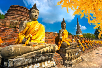 Buddha Statues in Ayutthaya, Thailand,