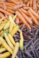 Display of Three Coloured Carrots