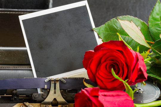 red rose on typewriter