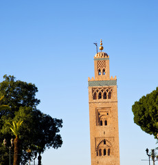 Fototapeta na wymiar history in maroc africa minaret religion and the blue sky