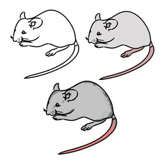 Rat, mouse - sketch, the drawing in color (set 1)