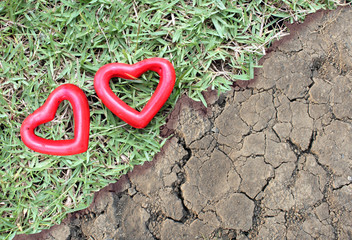 two red heart on the grass and arid land