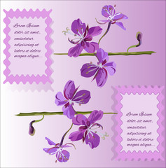 card with purple flowers