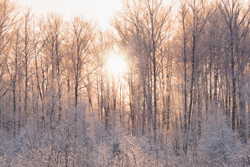 not frozen pond in winter