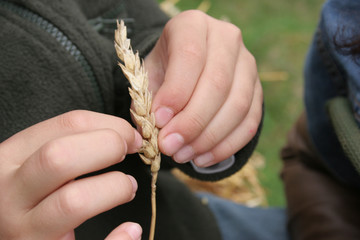 kid's hands holding a spike