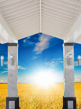 wheat field  velarium