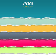 vector torn edges
