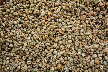 Luwak Coffee Beans - Bali, Indonesia