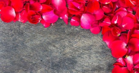Rose Petals on a wooden background