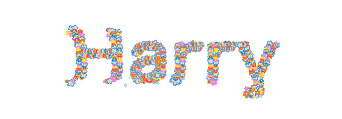 Male name Harry filled with flowers