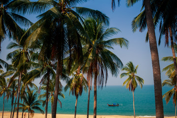 Obraz na płótnie Canvas view of boat in sea beach on foreground through palms