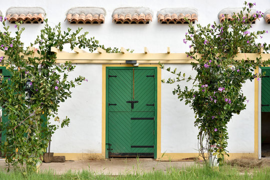 Wall of a farmhouse with green wooden door and garden