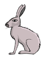 Obraz premium rabbit, illustration of farm animal, symbol of Easter, pet