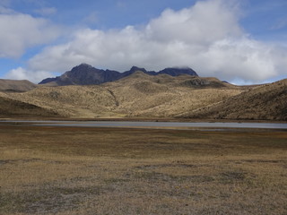 Amérique du Sud : parc national (Equateur)