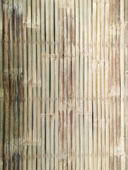 Bamboo line pattern