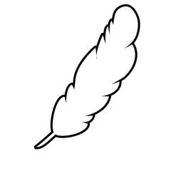 Feather line icon