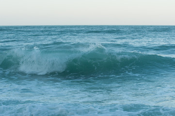 Fototapeta premium tubo