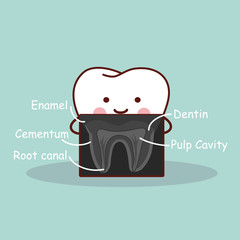 cartoon tooth with X ray