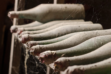 Old dusty wine bottles with spiderweb in cellar