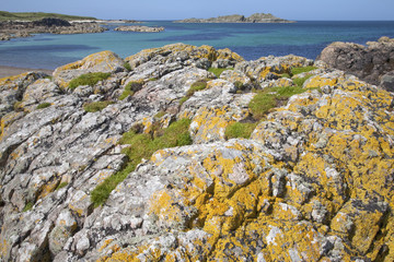 Fototapeta na wymiar Rock on Shoreline of Iona, Scotland, UK