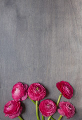 Some peonies on dark wooden background