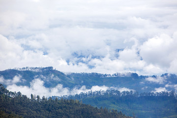 Naklejka na ściany i meble View at valley on cloudy morning from Adam's peak