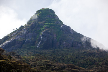 Adam's Peak Mountain
