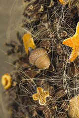 Christmas tree from the cones