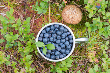Blueberries in a metal mug