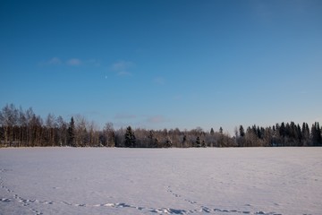 Obraz premium Winter wonderland