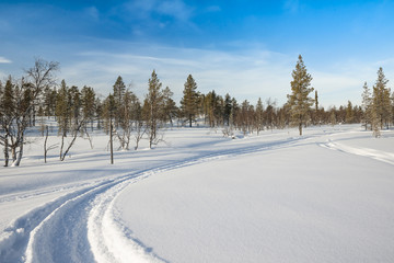 Fototapeta na wymiar Snow Covered Road In Forest