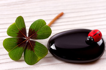 Glücksbringer mit Textfreiraum