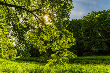 Wunderschöne Flusslandschaft im Frühling