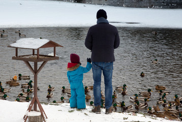 Poland-Warsaw,2016.Young dad with his daughter feeding ducks by the pond in winter , Warsaw 2016