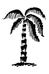 Palm tree vector illustration - grunge ink painting in vintage engraving style. Hand drawn palm tree - black and white graphic artwork. Palm tree as symbol of south, tropic, travel, adventure.