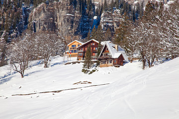 Winter in alps