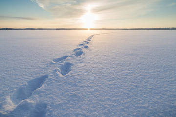 Footsteps on snow at a frozen lake in Finland at a sunny day in the winter.