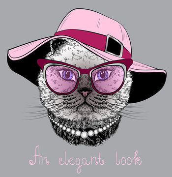 cat in the glasses and pink hat