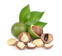 macadamia nuts on white background