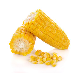 corn isolated on white background.