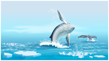 Naklejka premium whales in the Northern Ocean