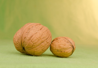 Two walnuts large and small