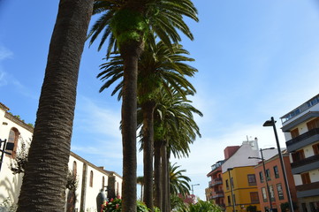 Ville de San Cristóbal de La Laguna, île de Tenerife